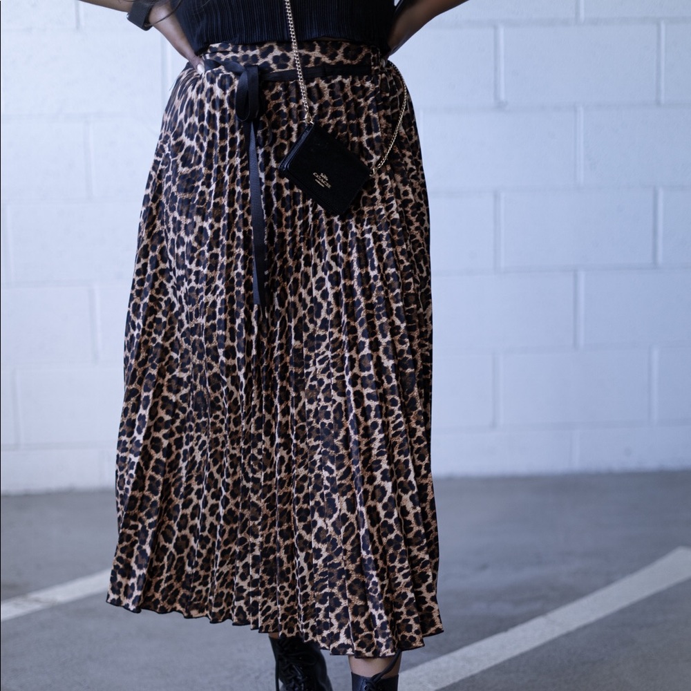 Zara Leopard Print Skirt